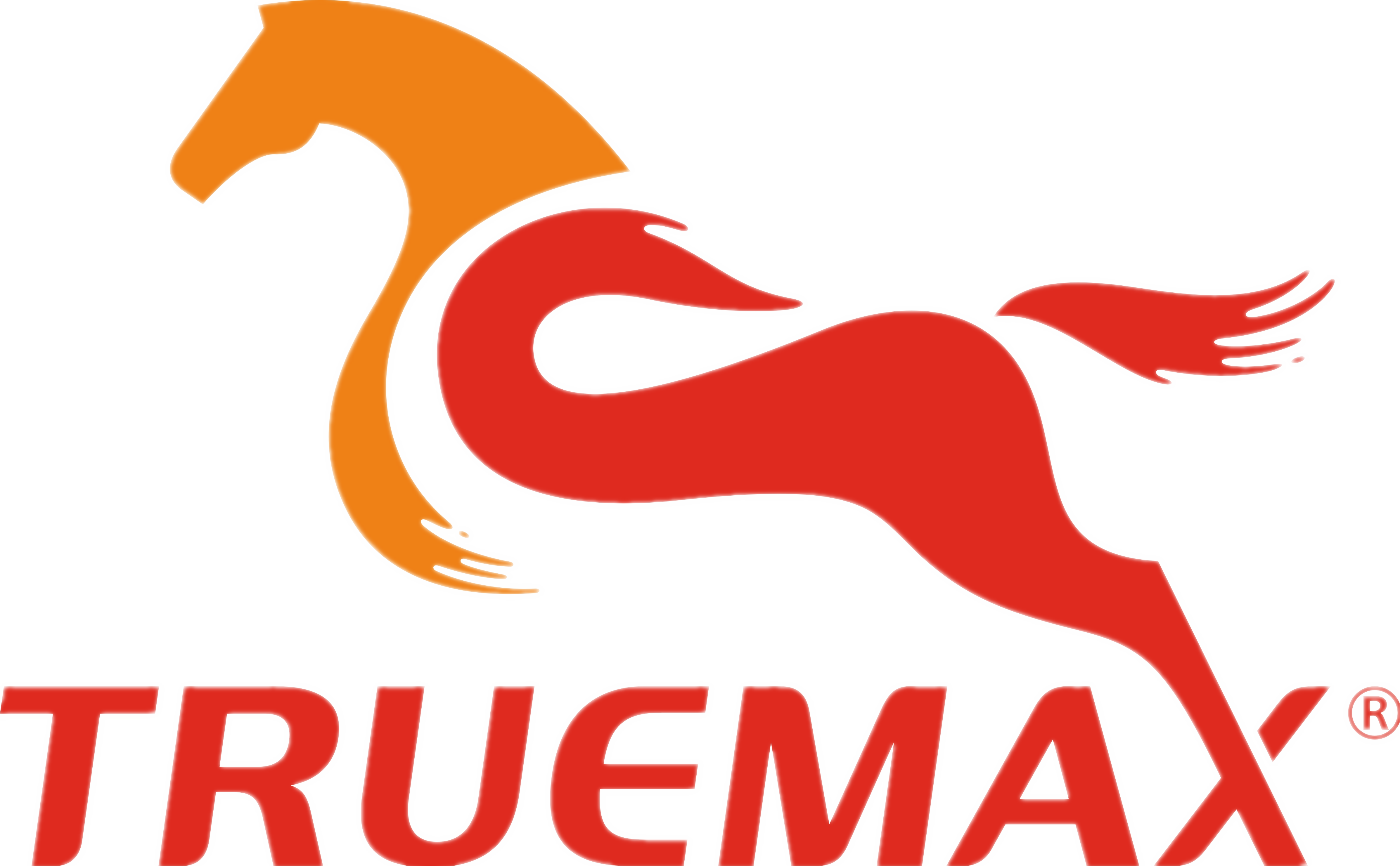 志合者 不以山海為遠—TRUEMAX 2022！